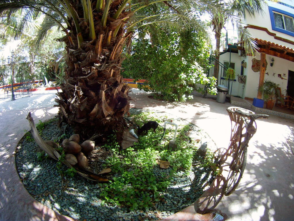 Hacienda Paraiso De La Paz Bed & Breakfast Luaran gambar